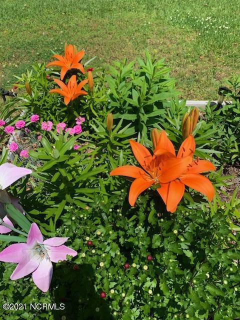 7654 Heritage Road Spring Hope, NC 27882 - Photo 34 of 37 IMG_14641