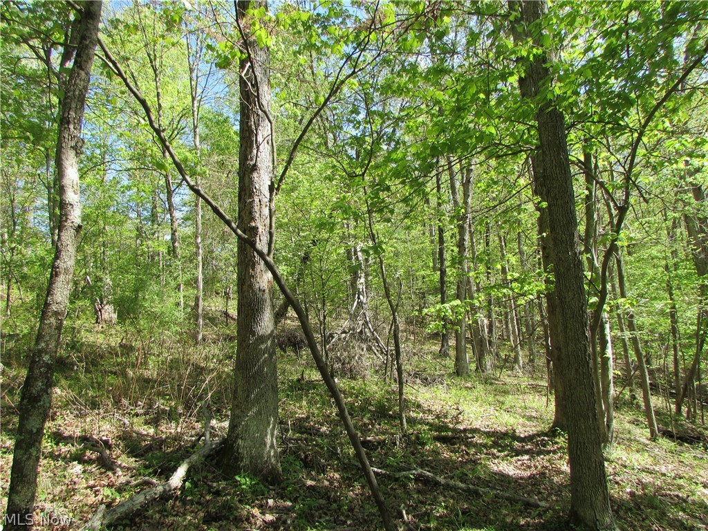 Mayberry Road Palestine, WV 26160 - Photo 18 of 20