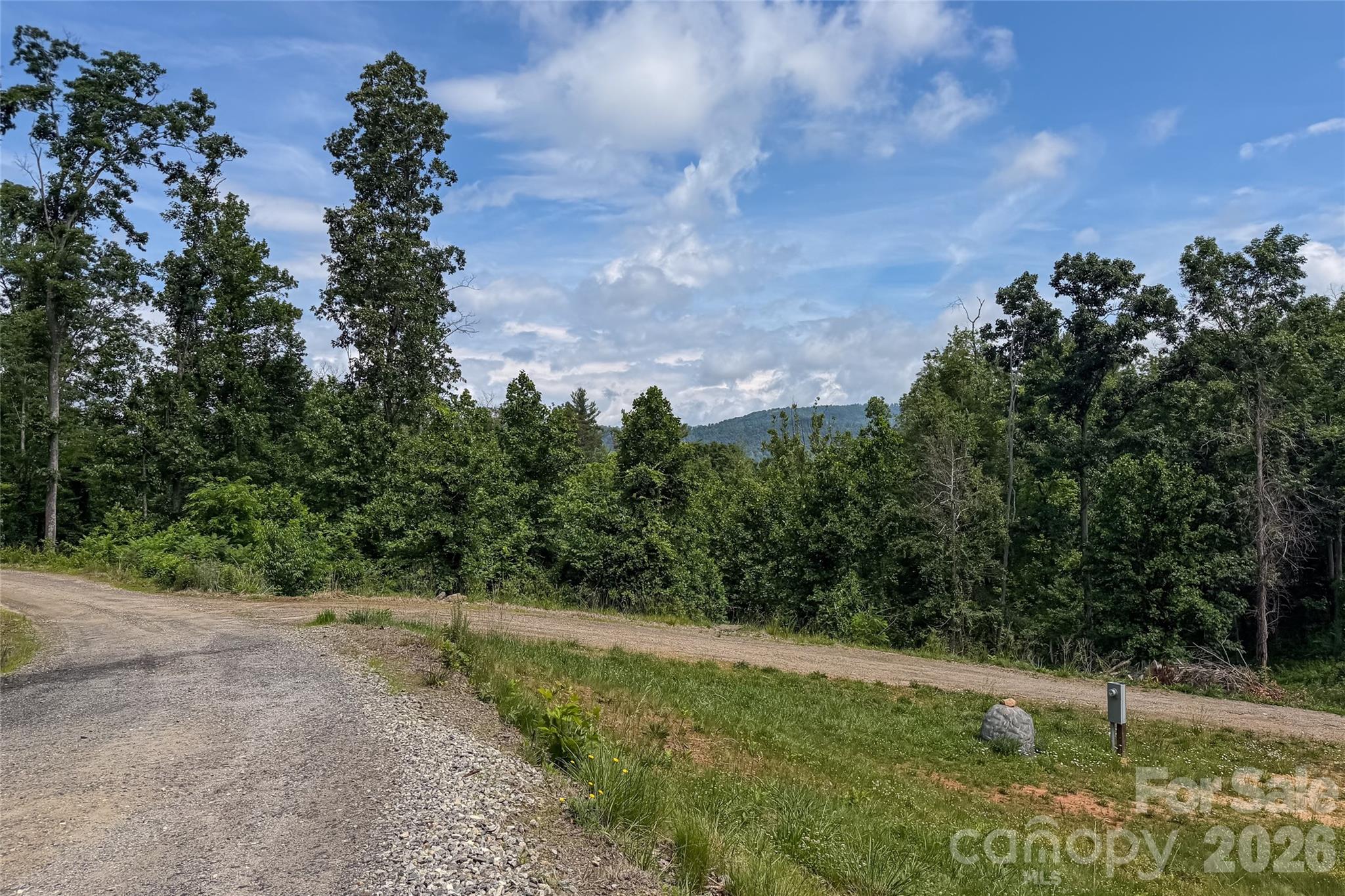 9999 Bear Vw Road Weaverville, NC 28787 - Photo 7 of 18