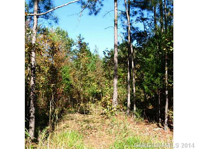 45-ac Cedar Grove Road York, SC 29745 - Photo 3 of 14