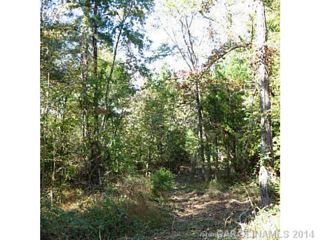 45-ac Cedar Grove Road York, SC 29745 - Photo 4 of 14