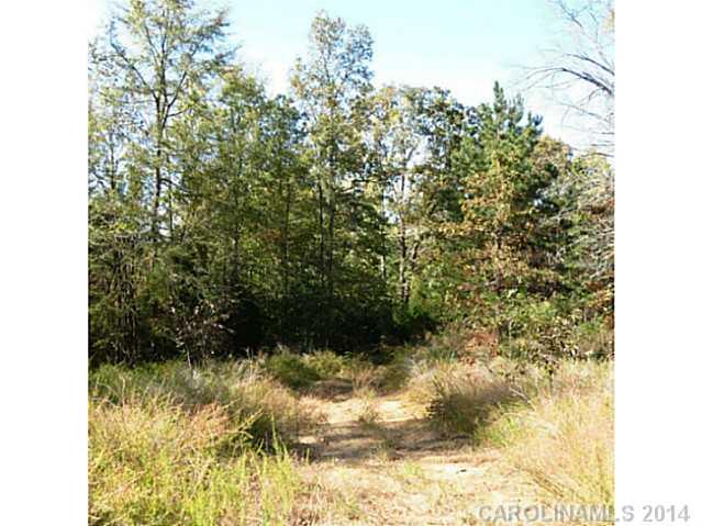 45-ac Cedar Grove Road York, SC 29745 - Photo 5 of 14