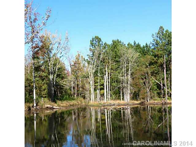 45-ac Cedar Grove Road York, SC 29745 - Photo 8 of 14