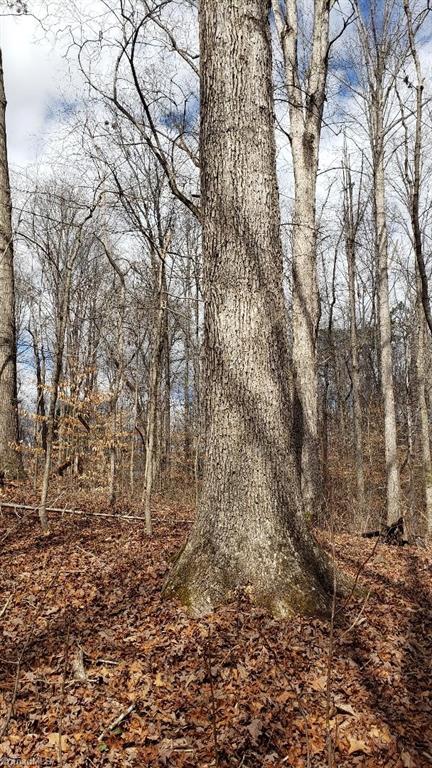 833 Calahaln Road Mocksville, NC 27028 - Photo 9 of 15 Valuable white oak