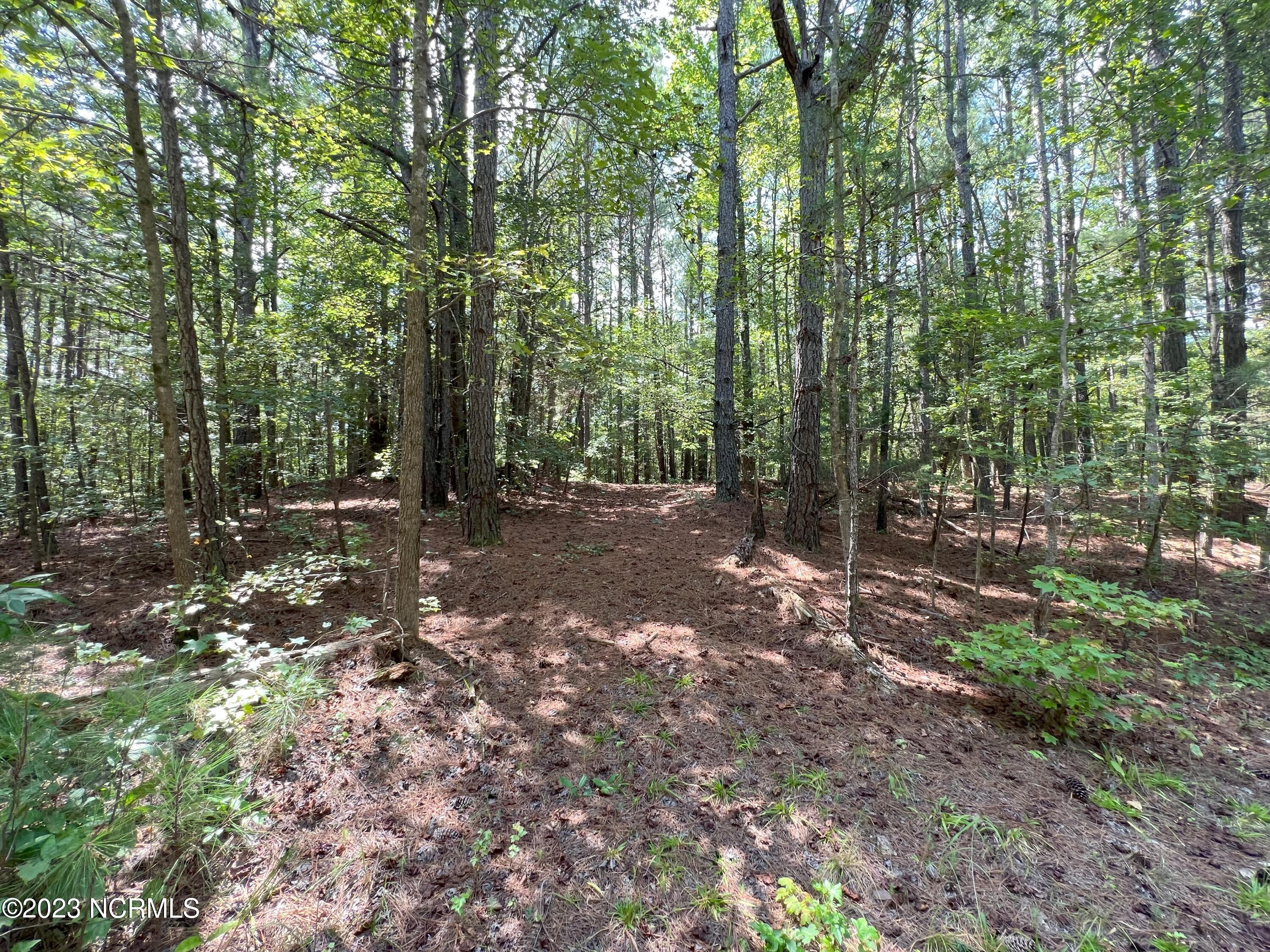 6404 Mitchell Mill Road Zebulon, NC 27597 - Photo 22 of 22 IMG_3511