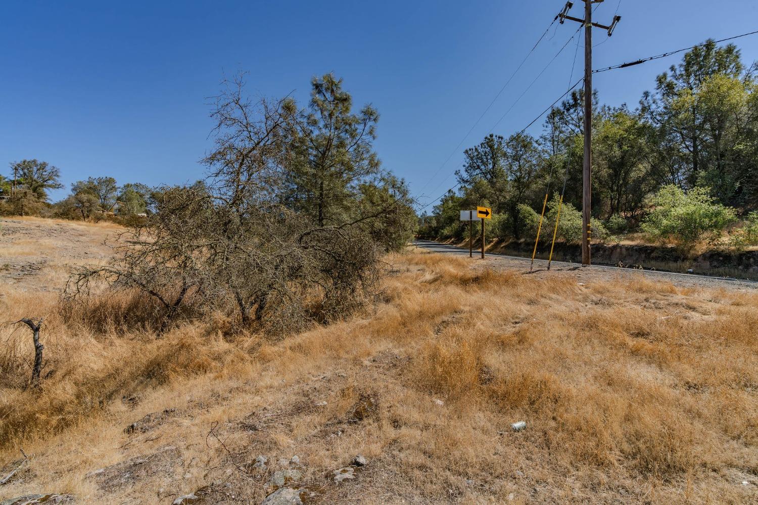 0 Brandy Lane Burson, CA 95225 - Photo 11 of 28 a view of a yard with a tree