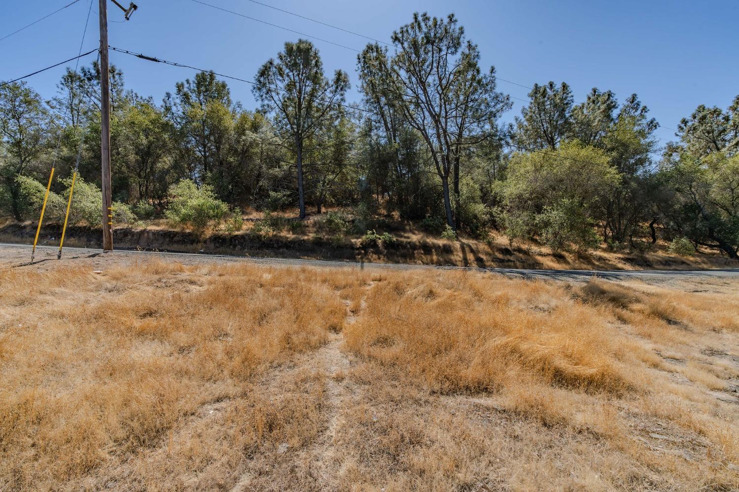 0 Brandy Lane Burson, CA 95225 - Photo 13 of 28 a view of outdoor space with trees
