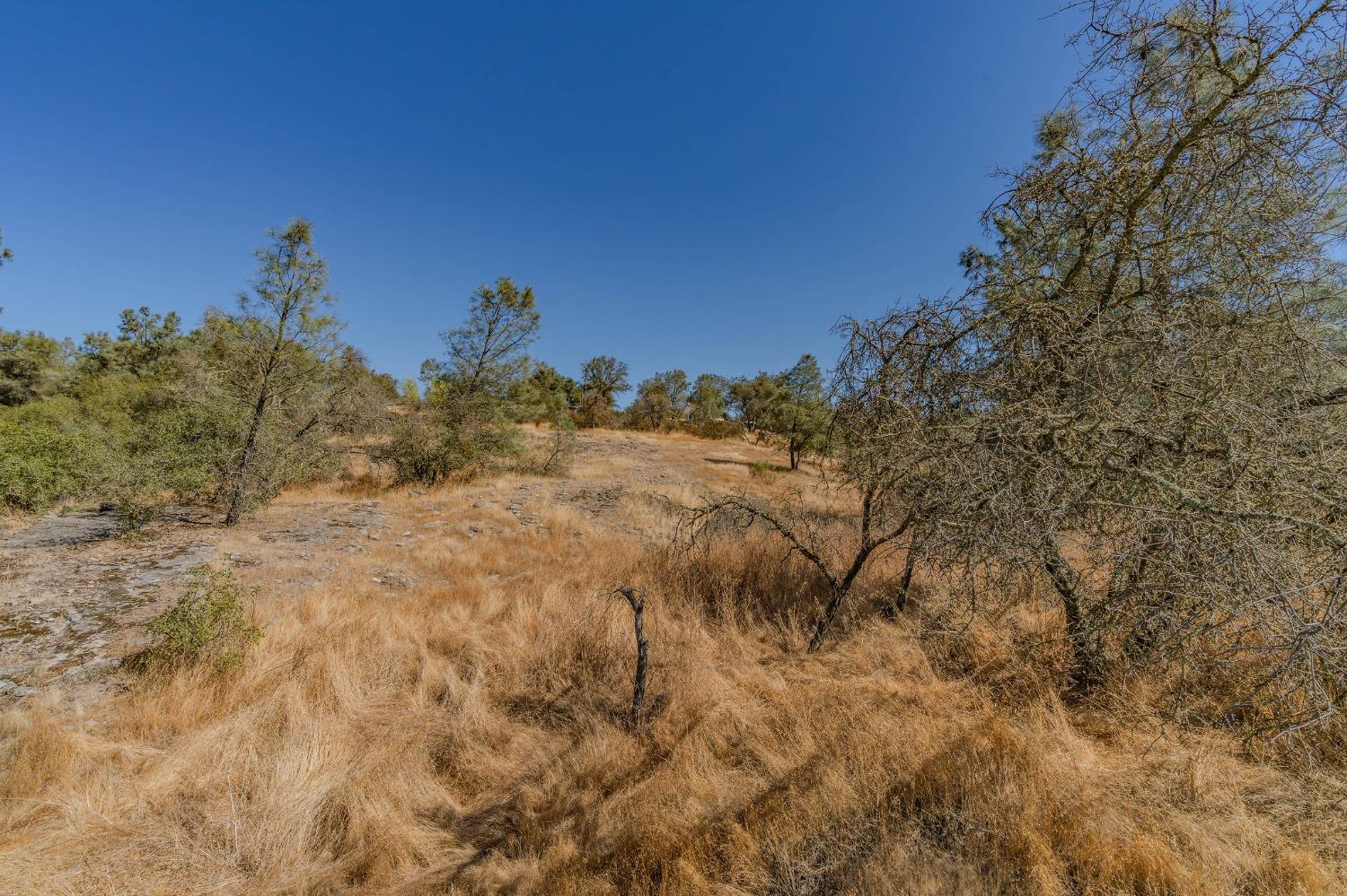 0 Brandy Lane Burson, CA 95225 - Photo 14 of 28 a view of a dry yard with a tree
