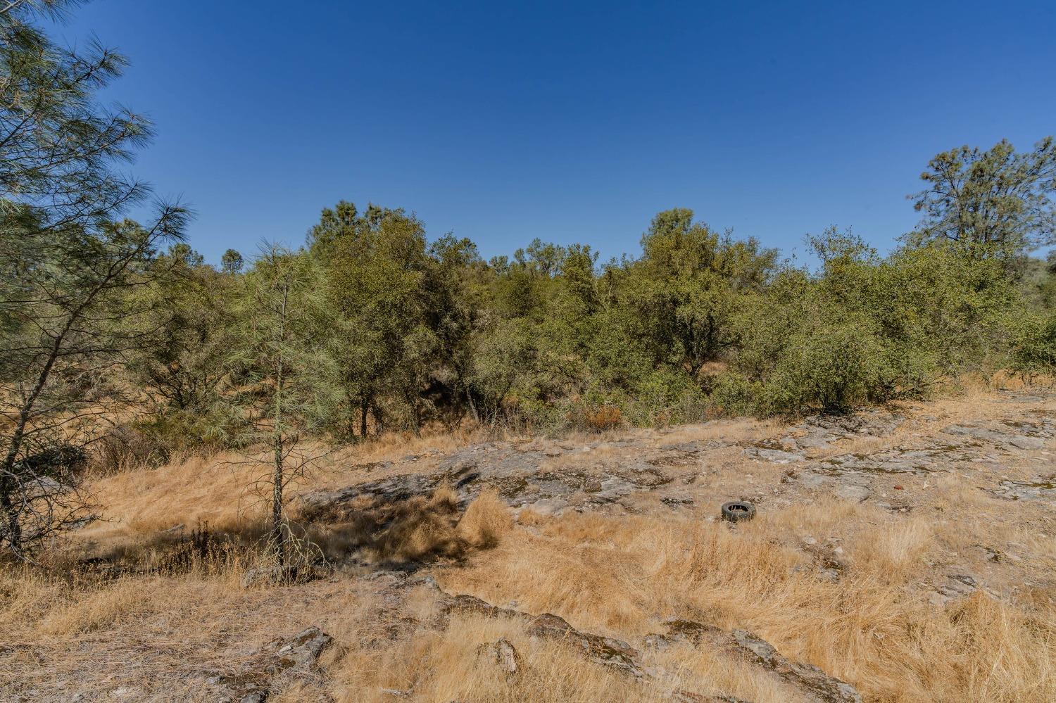 0 Brandy Lane Burson, CA 95225 - Photo 15 of 28 a view of a dry yard
