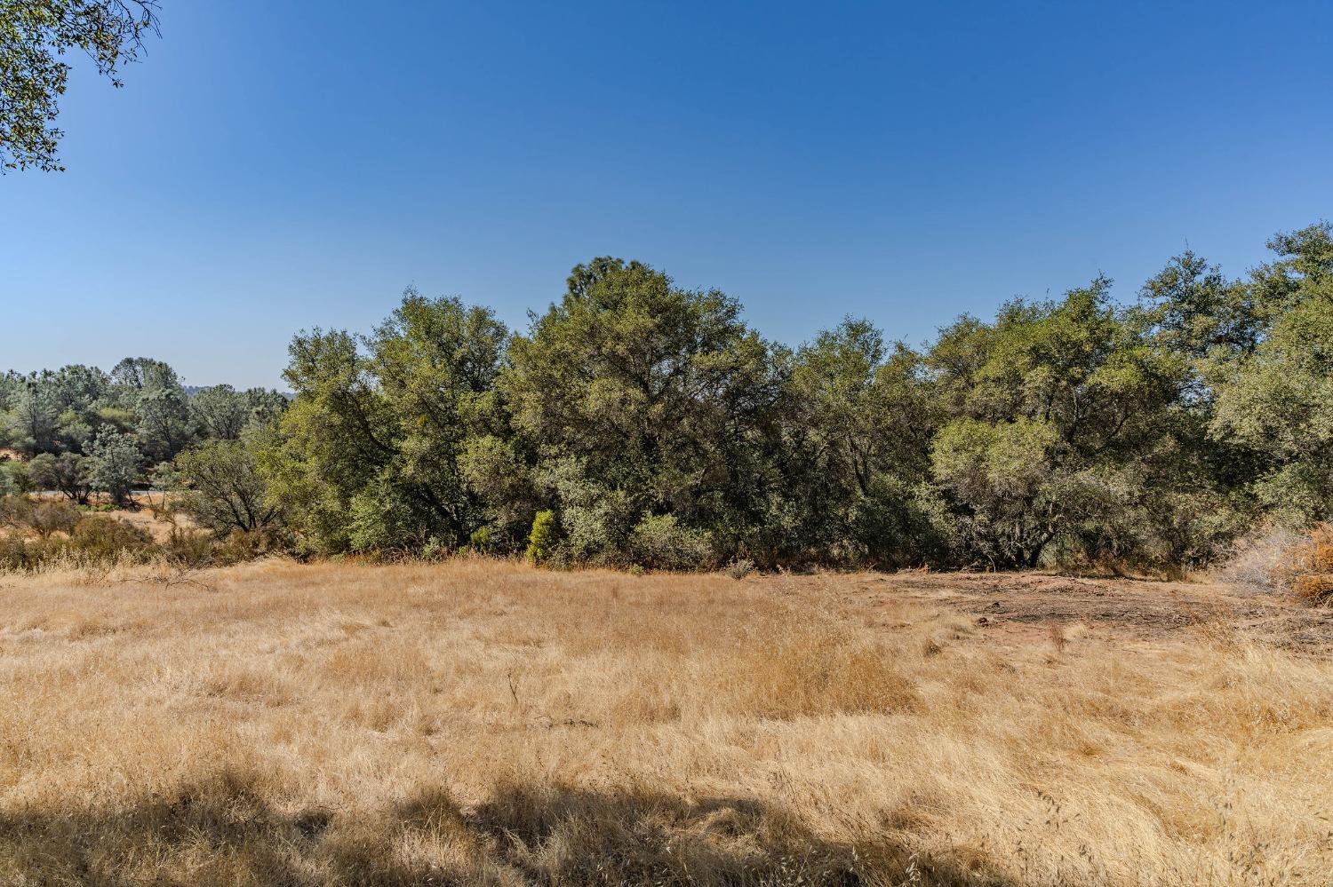 0 Brandy Lane Burson, CA 95225 - Photo 4 of 28 a view of mountain view with a field