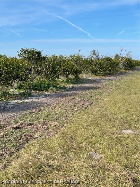 Maude Road Wauchula, FL 33873 - Photo 2 of 12