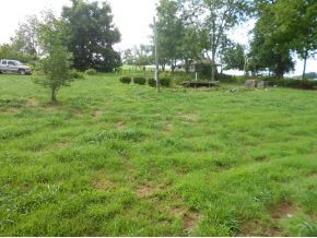 3865 Afton Road, Unit 1 Afton, TN 37616 - Photo 3 of 5 Photo 3