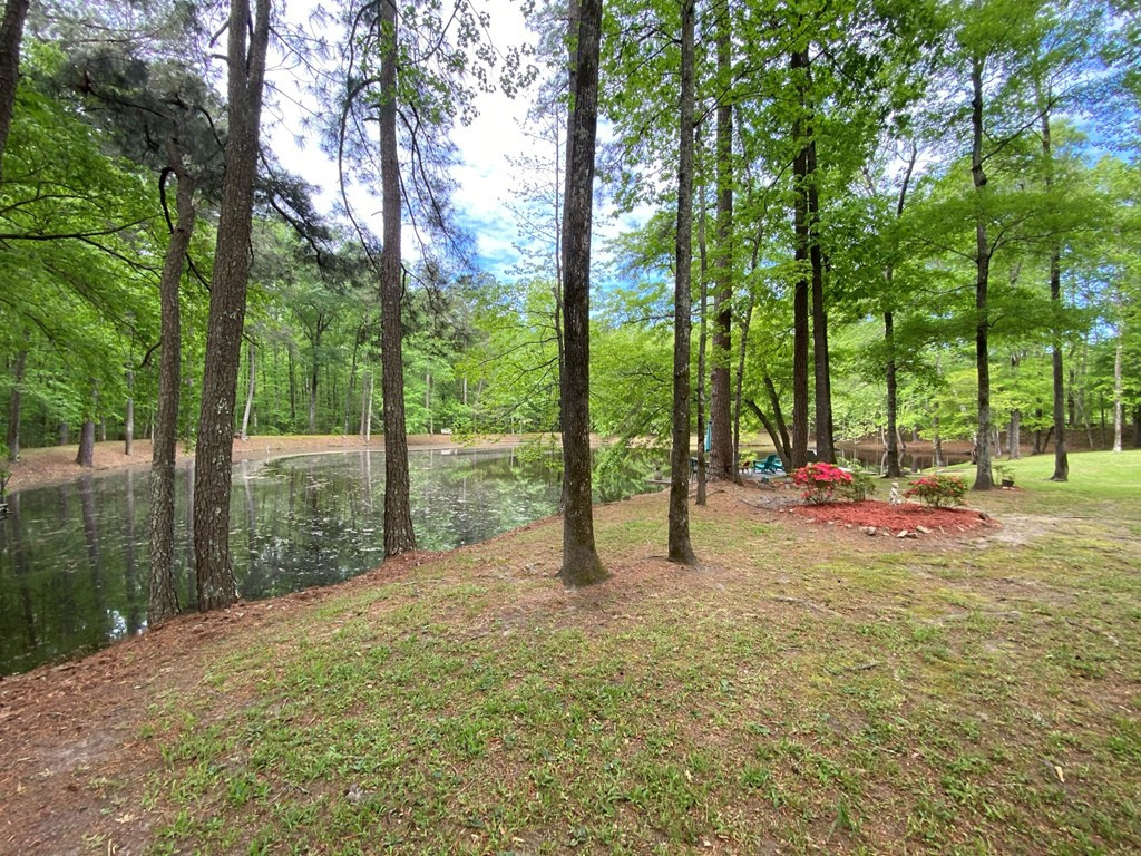 6038 Anderson Road Grovetown, GA 30813 - Photo 3 of 46