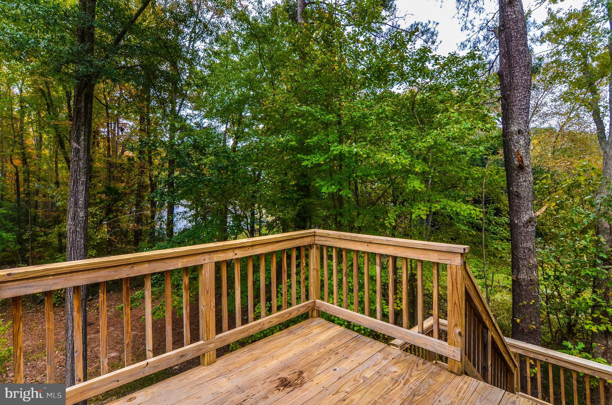 394 Rolando Drive Colonial Beach, VA 22443 - Photo 3 of 25 Just a few blocks from the Potomac River