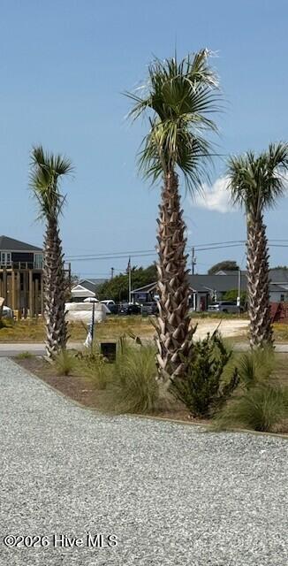 124 Shell Road Surf City, NC 28445 - Photo 28 of 32 124 Palm trees
