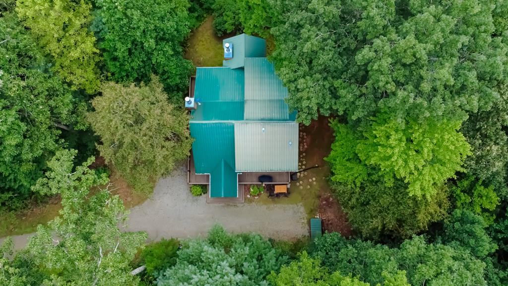 361 Moss Lane Blue Ridge, GA 30513 - Photo 65 of 72