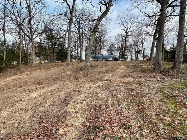 $159,950 | Lake Fork Lot Lake Fork, Quitman, TX 75783