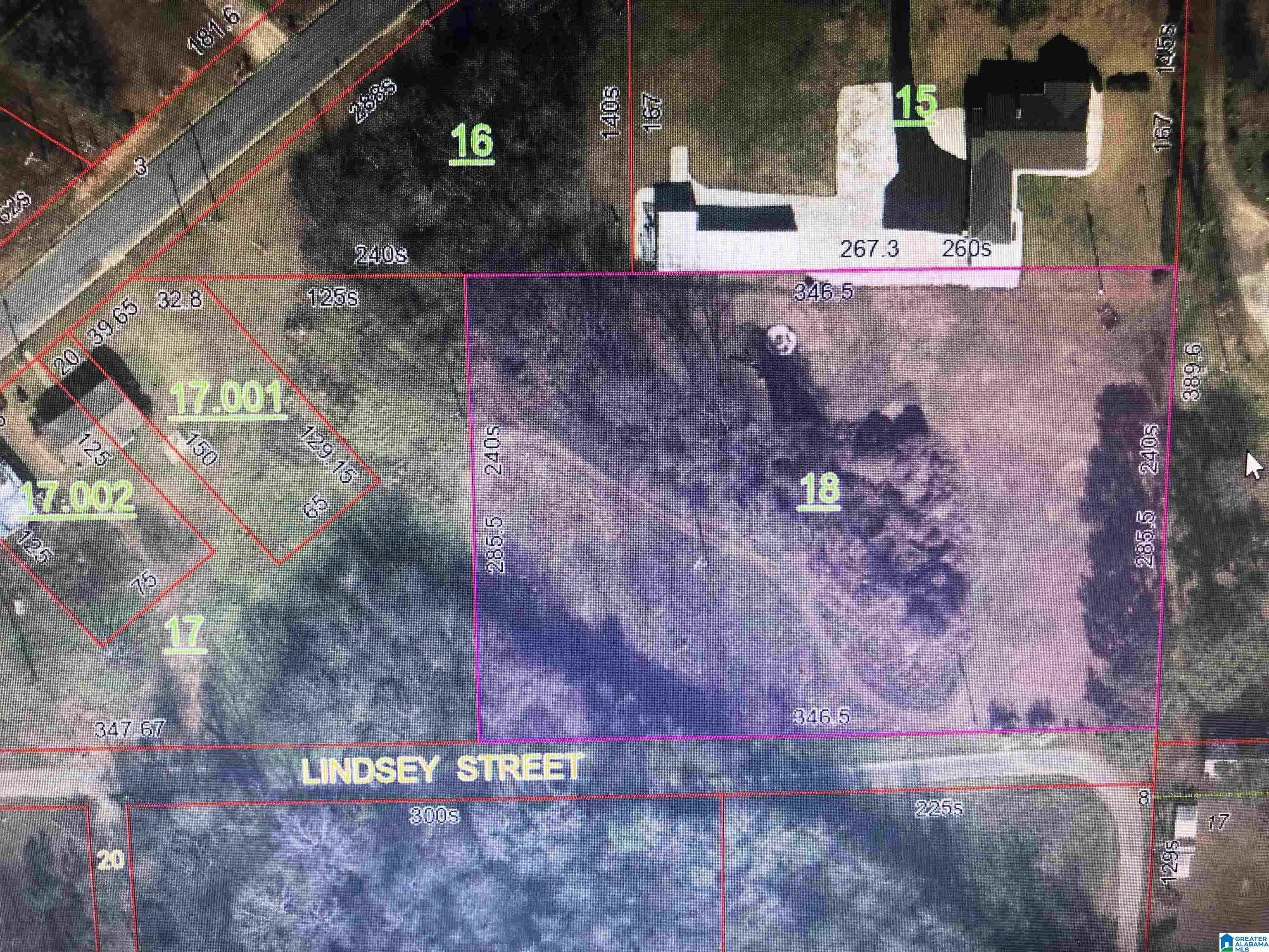 Lindsey Street Sylacauga, AL 35150 - Photo 5 of 5