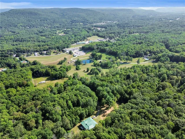 $549,000 | 319 Hosier Road, Davenport, NY 13820