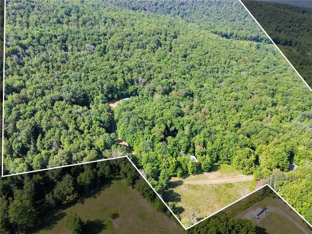 $549,000 | 319 Hosier Road, Davenport, NY 13820