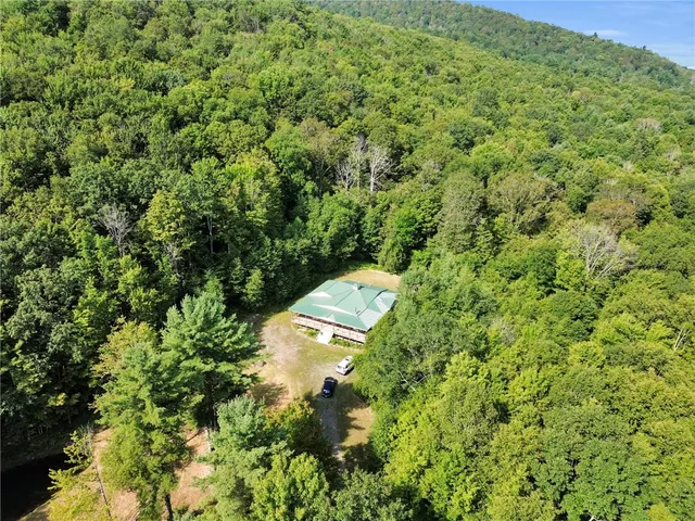 $549,000 | 319 Hosier Road, Davenport, NY 13820