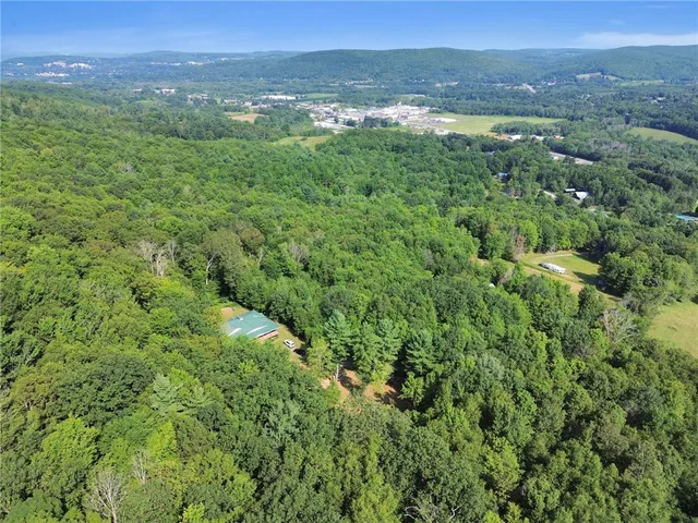 $549,000 | 319 Hosier Road, Davenport, NY 13820