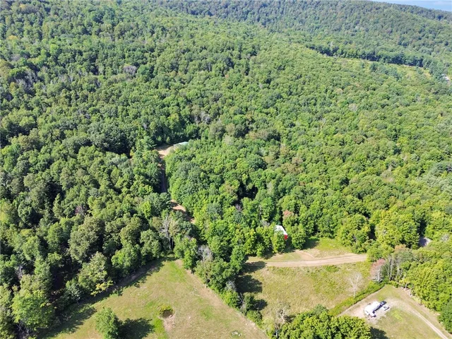 $549,000 | 319 Hosier Road, Davenport, NY 13820