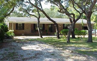 a view of a yard in front of a house with plants and large tree