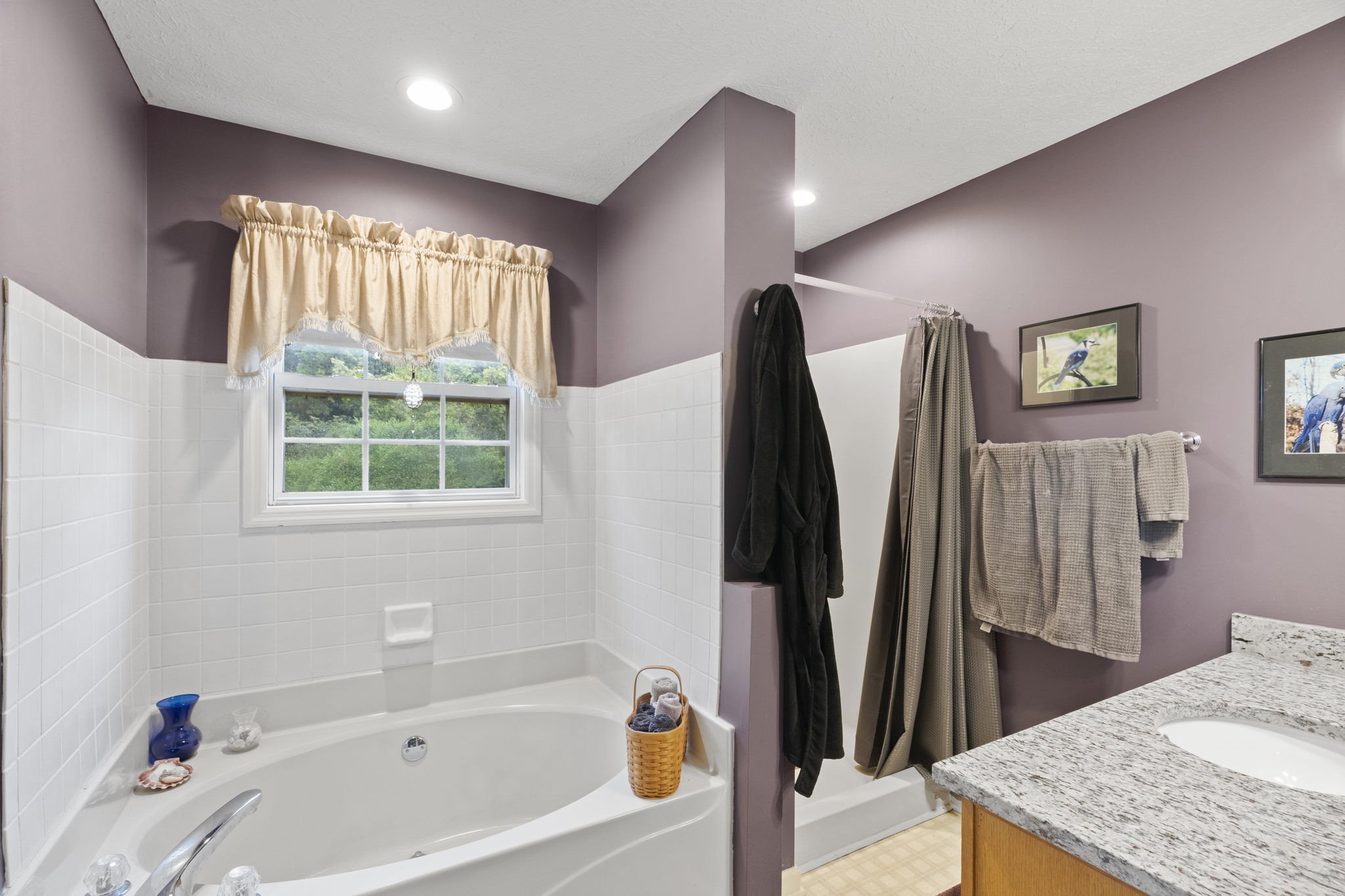 7313 West Cook Road Springfield, TN 37172 - Photo 22 of 40 a bathroom with a tub sink and a window