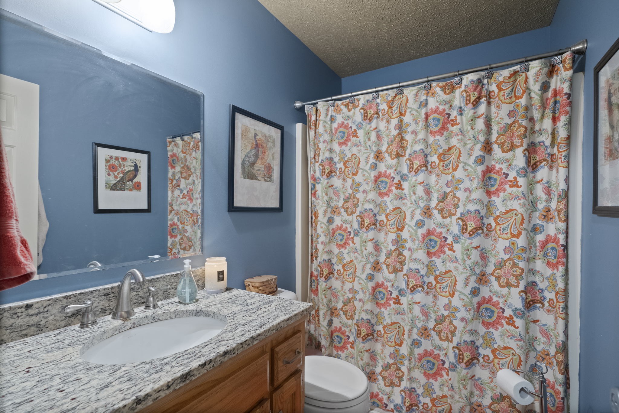 7313 West Cook Road Springfield, TN 37172 - Photo 26 of 40 a bathroom with a granite countertop sink a toilet and a mirror