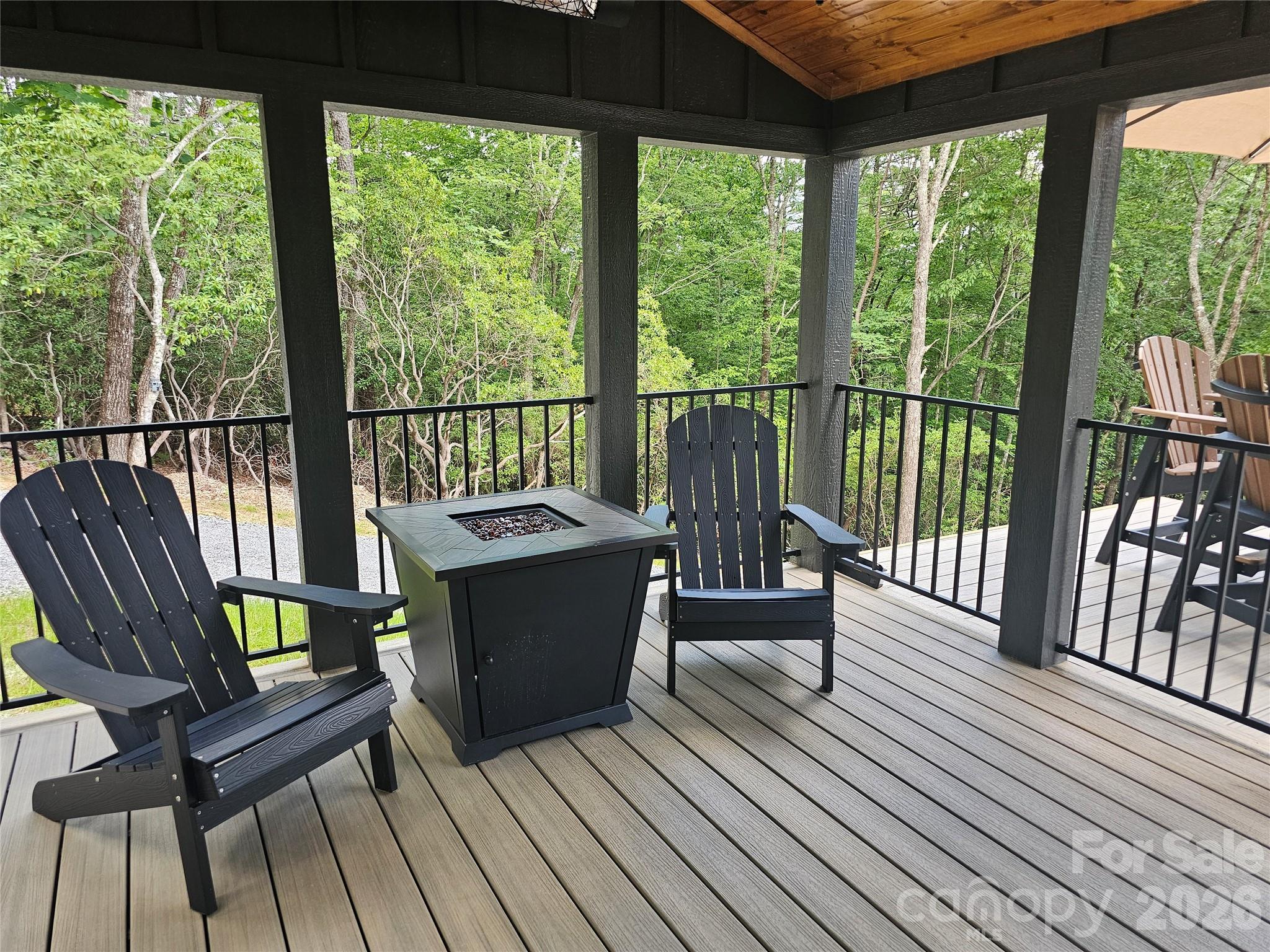 171 Duff Cv Road Brevard, NC 28712 - Photo 4 of 32