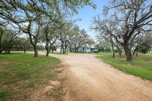 a view of park with trees