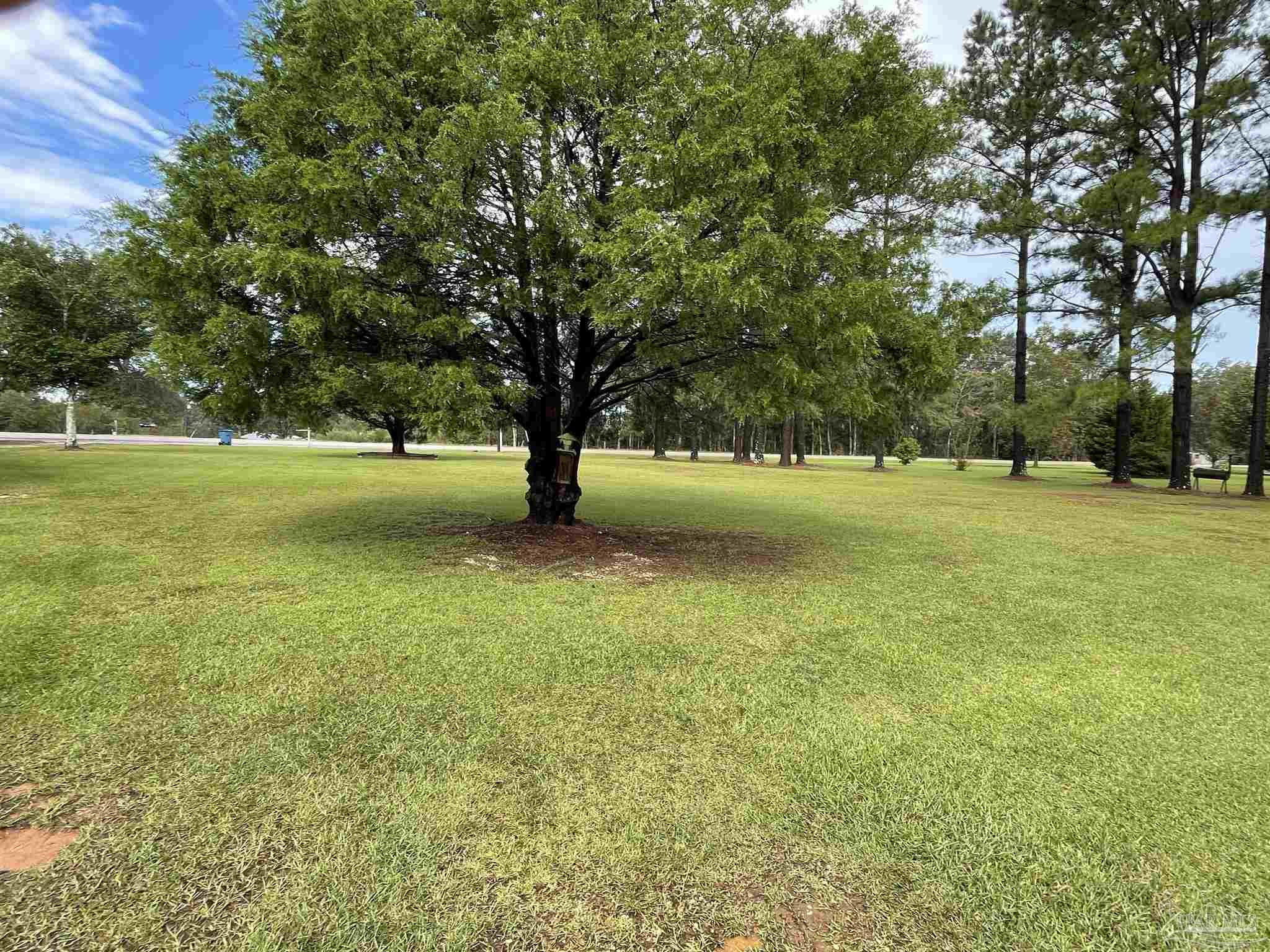 8834 Robinsonville Road Atmore, AL 36502 - Photo 6 of 49