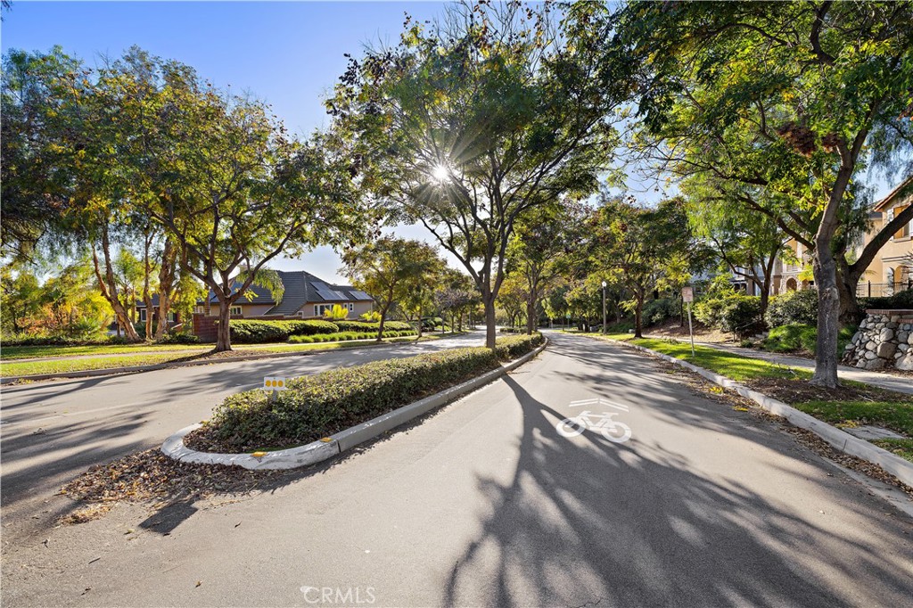 9 Paverstone Lane Ladera Ranch, CA 92694 - Photo 37 of 51 a view of street with large trees