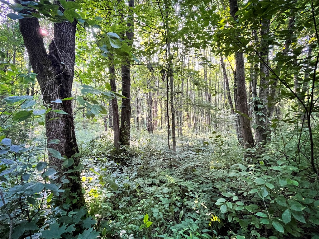 98 Hawk Road Volney, NY 13069 - Photo 10 of 49 Gallery Image 10