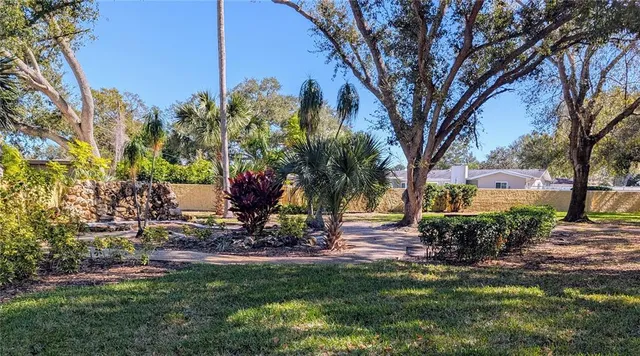 a view of backyard with tree