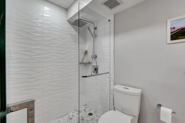 a bathroom with a shower and toilet