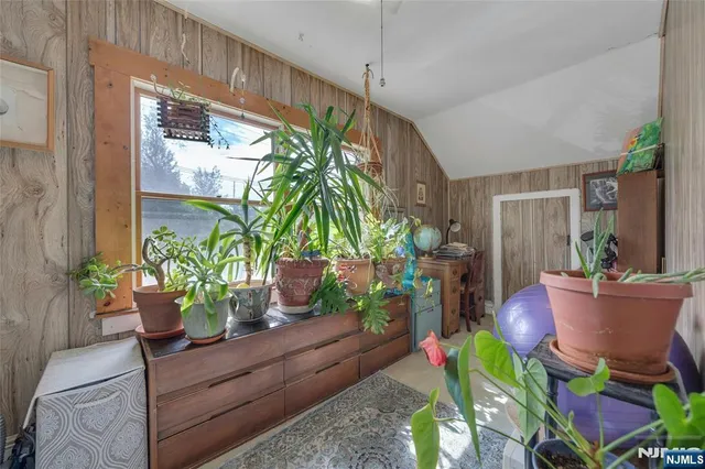 a potted plant sitting in front of a house