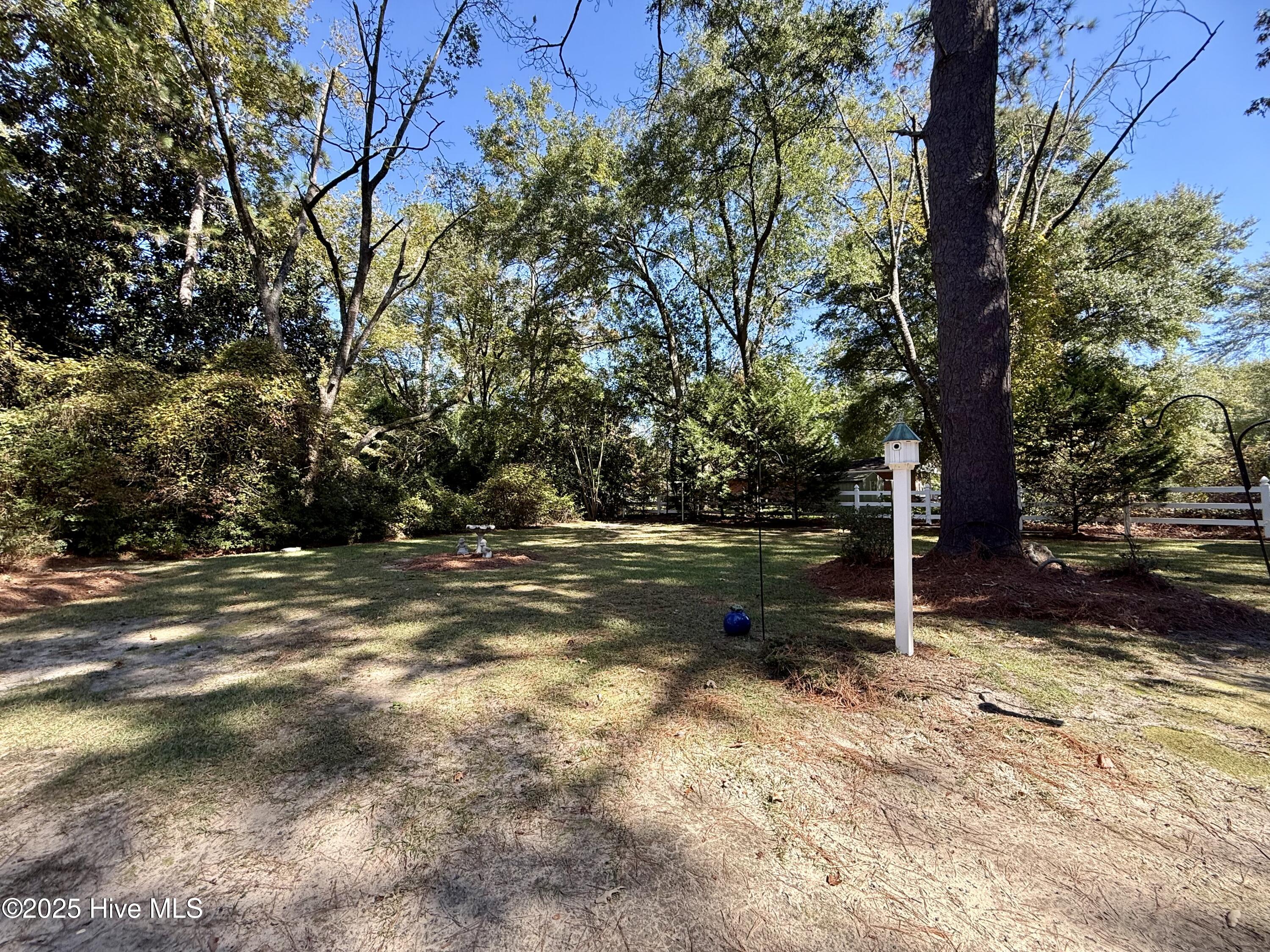 902 Aberdeen Road Laurinburg, NC 28352 - Photo 24 of 24 Private yard