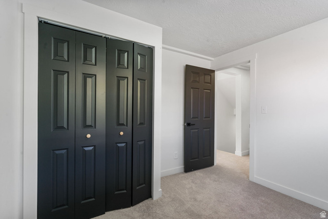 432 Calnette Drive Sandy, UT 84070 - Photo 28 of 48 Dark paneled bi-fold closet doors with round brass hardware, white trim, and light gray carpeting