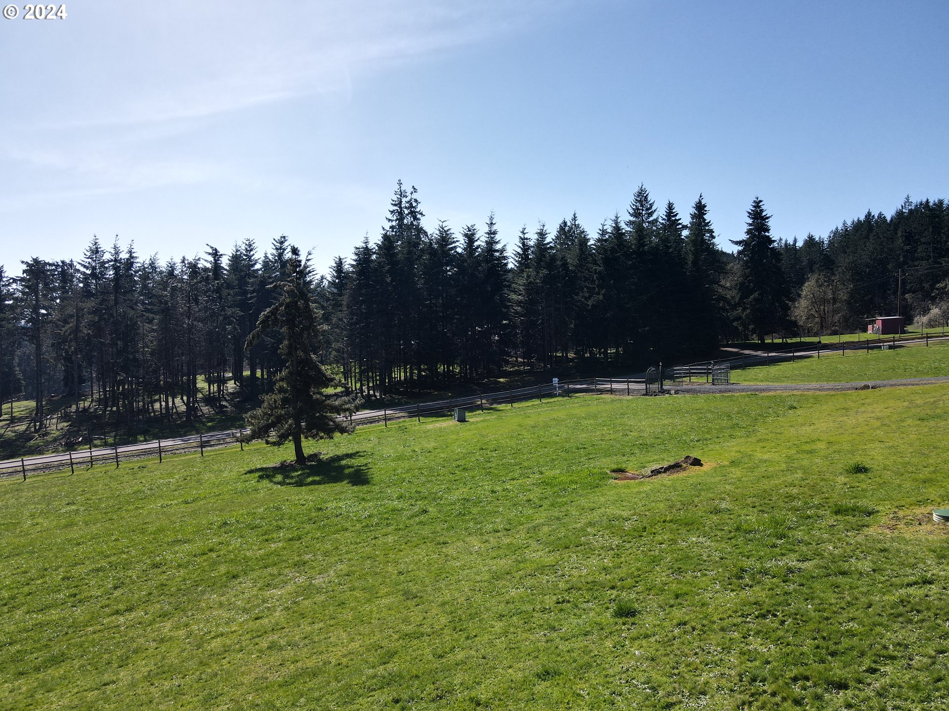 33825 Cea Jac Road Creswell, OR 97426 - Photo 30 of 48 a view of field with trees in the background