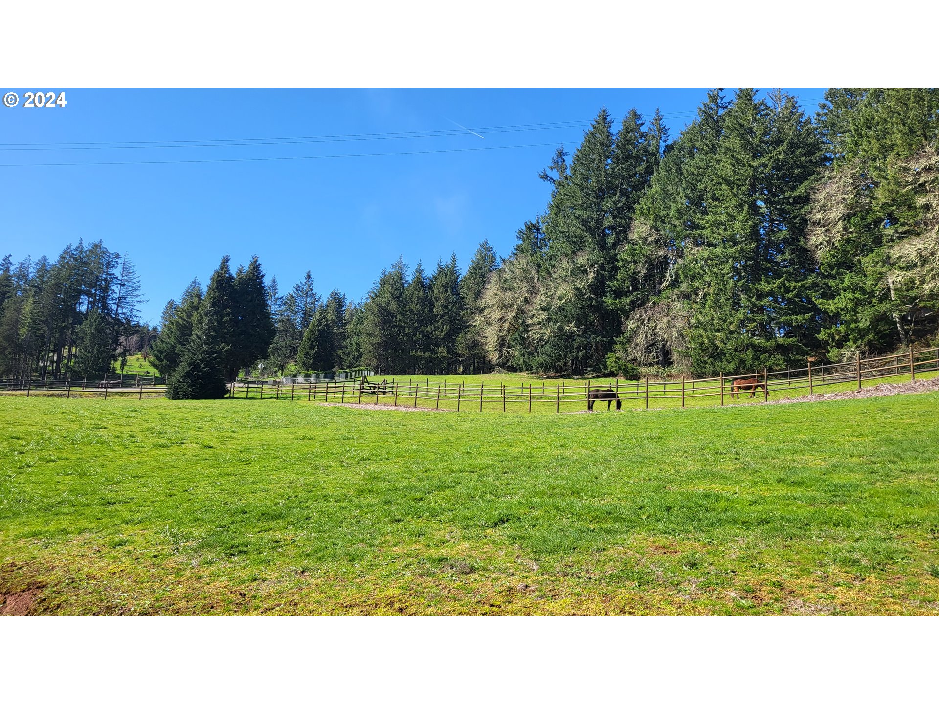 33825 Cea Jac Road Creswell, OR 97426 - Photo 43 of 48 a black and white photo of a park