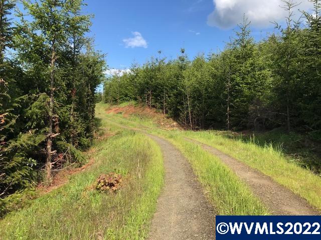 0 Old Military (frontage) Road Dallas, OR 97338 - Photo 6 of 12