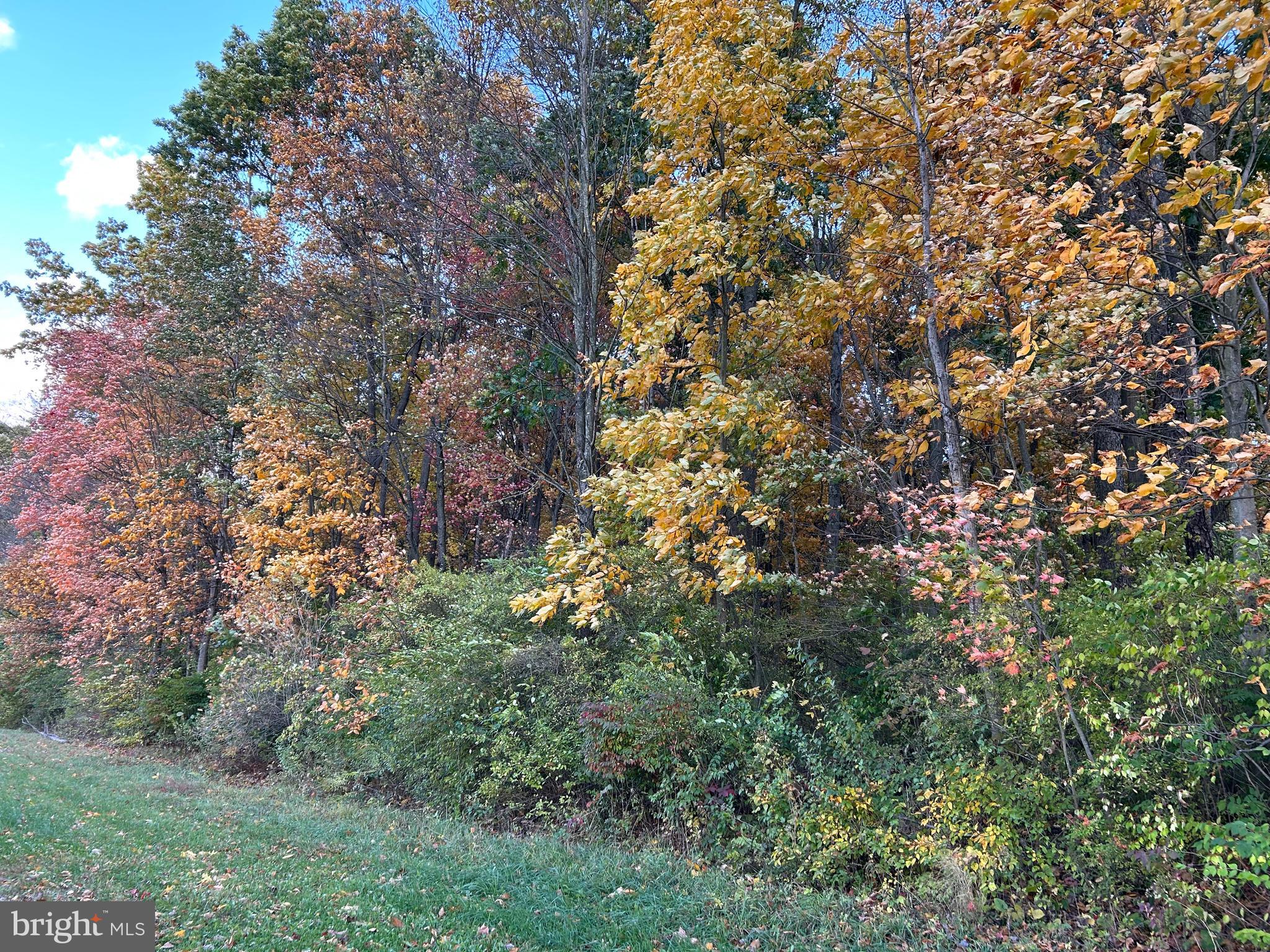 Lot #3 Linden Hall Road Boalsburg, PA 16827 - Photo 11 of 26 a view of a tree in a yard