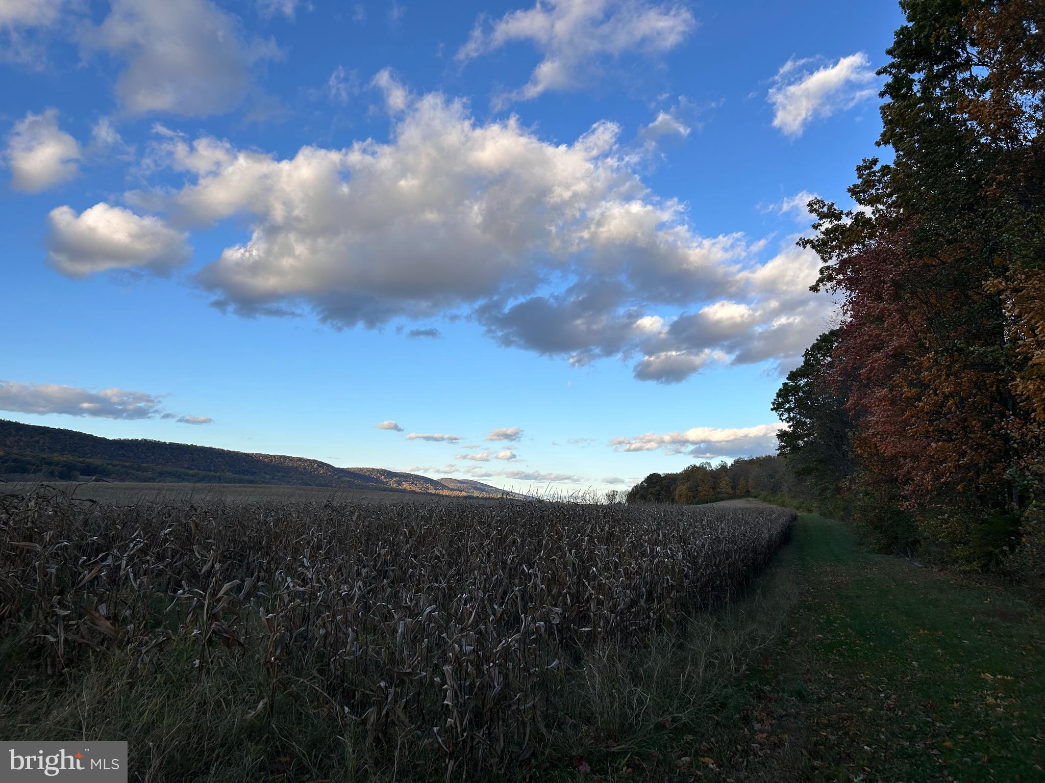 Lot #3 Linden Hall Road Boalsburg, PA 16827 - Photo 13 of 26 a view of sunset