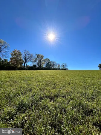 a view of a field with an ocean