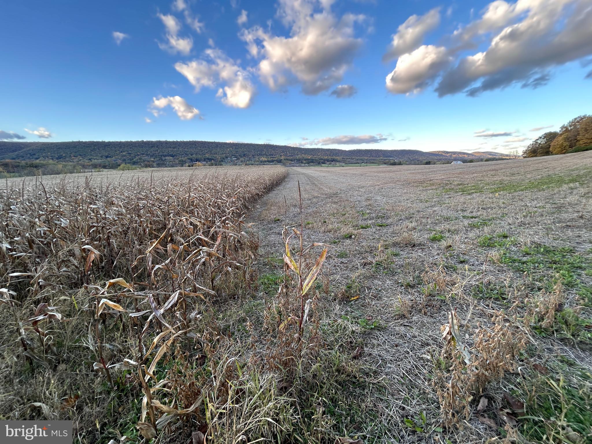 Lot #3 Linden Hall Road Boalsburg, PA 16827 - Photo 6 of 26 a view of beach and sunset