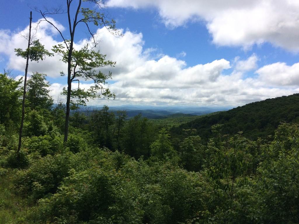 1654 Stannard Mountain Road Wheelock, VT 05851 - Photo 7 of 12 Gallery Image 7