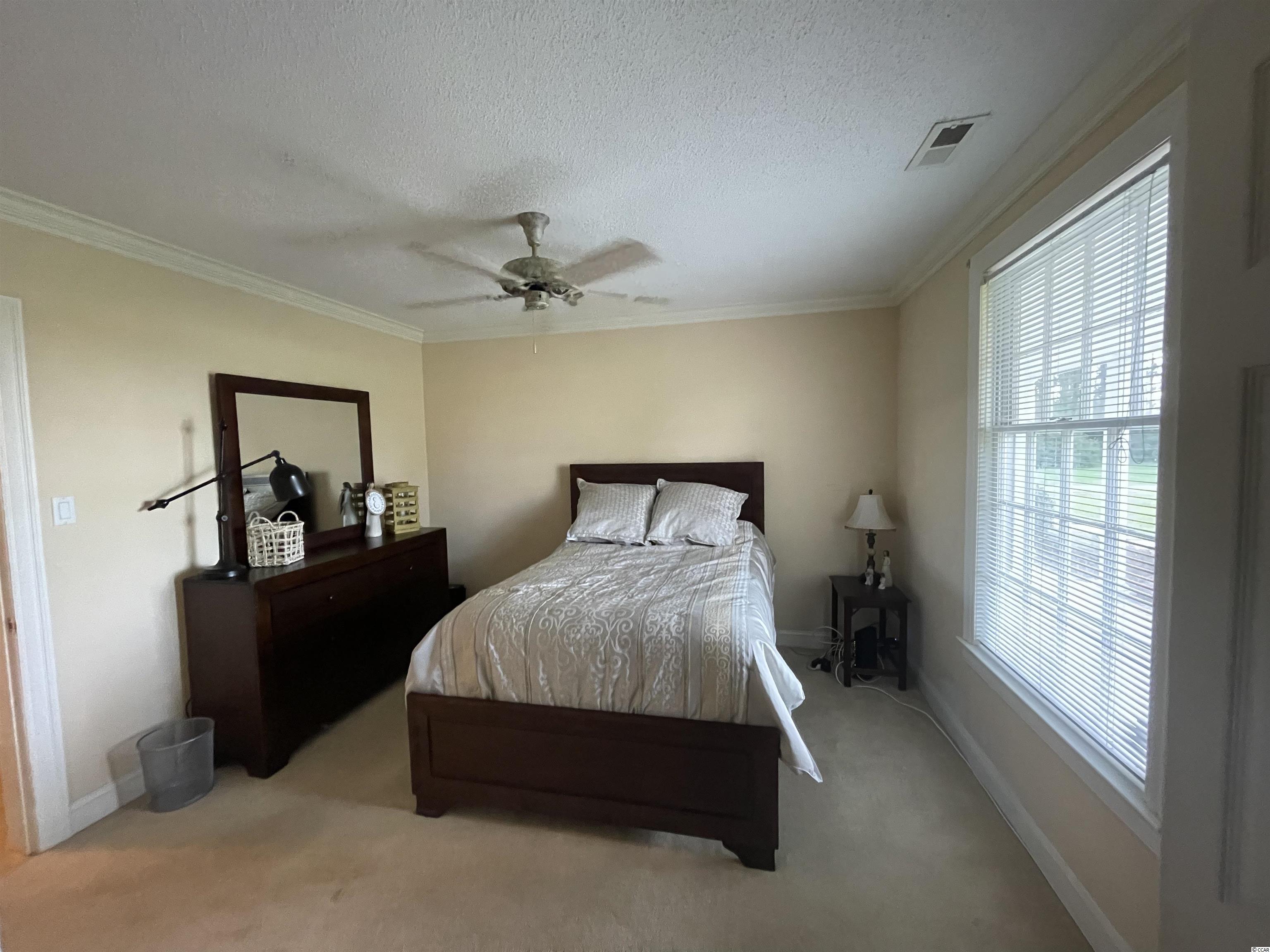 8721 Spring Branch Road Nichols, SC 29581 - Photo 11 of 27 Gallery Image 11