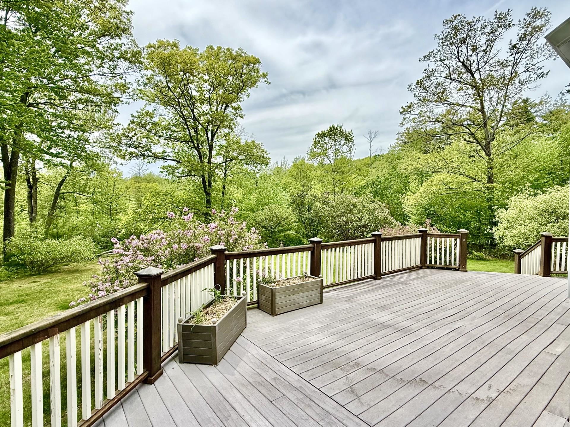 103 Pinnacle Springs Road Chesterfield, NH 03443 - Photo 52 of 56 Gallery Image 52